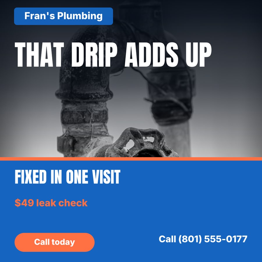 Fran's Plumbing sample ad (Problem → solution)