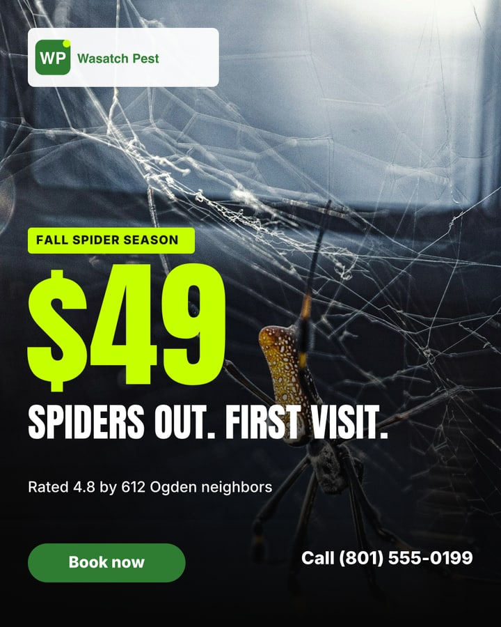 The same ad after the claims check: Rated 4.8 by 612 Ogden neighbors
