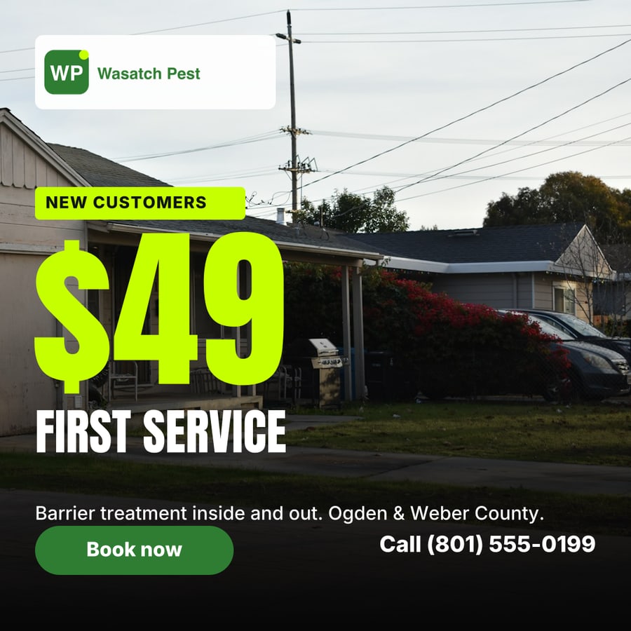 Wasatch Pest Pros sample ad (Price-forward offer)
